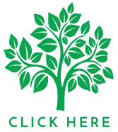 Tree Icon